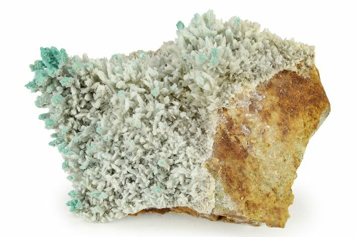White and Teal Aragonite Formation - Pilhuatepec, Mexico #242662